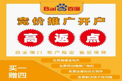 百度推广广告案例：快速抢占市场份额
